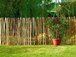 Staketenzaun aus Haselnuss 120x500 cm, Abstand 3-5 cm, Haselnusszaun